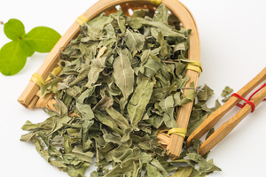 Hojas de Dogbane (Luo Bu Ma Ye), Planta Herbal China, Hojas de Apocynium Veneti, Hierbas Naturales para la Presión Arterial - Product Image 2