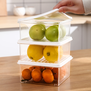 Factory Wholesale Classic Modern Clear Plastic Transparent Fridge Organizer Storage Box Food Storage Container