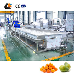 Ligne de lavage et de séchage pour fruits (cerises, oranges, mangues) et légumes (tomates, choux) avec système de lavage Vortex - Product Image 6