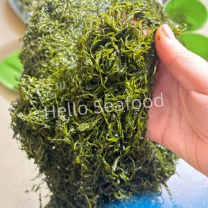 สาหร่าย Sargassum เค็มแบบแห้งธรรมชาติสำหรับการบริโภคจำนวนมาก - Product Image 5