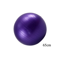 Ballon de yoga clinique pour la décompression vertébrale 65 cm violet anti-éclatement en PVC épaissi, équipement d'exercice de rééducation