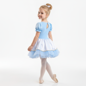 ชุดบัลเลต์เจ้าหญิงสีฟ้าอ่อนสำหรับเด็ก ชุดเต้นรำสำหรับการแสดงบนเวทีระดับมืออาชีพ เหมาะสำหรับงานปาร์ตี้และกิจกรรมต่างๆ - Product Image 2