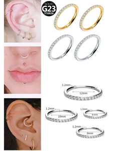 रोमांटिक जिरकॉन सेगमेंट में नाक की अंगूठी सेप्टम रिंग टाइटेनियम हूप ईयररिंग्स लड़कियों के लिए डेथ लेलिक्स बॉडी भेदी गहने - Product Image 2
