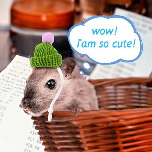 Chapeaux de Hamster avec écharpe ensemble petits chapeaux d'<span class=keywords><strong>animaux</strong></span> en vrac <span class=keywords><strong>accessoires</strong></span> de Costume de cochon d'Inde mignon minuscule Mini cadeau tricoté <span class=keywords><strong>pour</strong></span> petits <span class=keywords><strong>animaux</strong></span> - Product Image 6