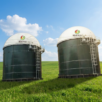 Digesteur de biogaz automatique à capacité personnalisée pour le traitement des déchets alimentaires, du fumier de porc/vache et des déchets organiques agricoles, facile à utiliser