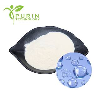 Polvo de ácido hialurónico 99% de grado cosmético de alta pureza para cuidado de la piel y cosméticos - Product Image 1