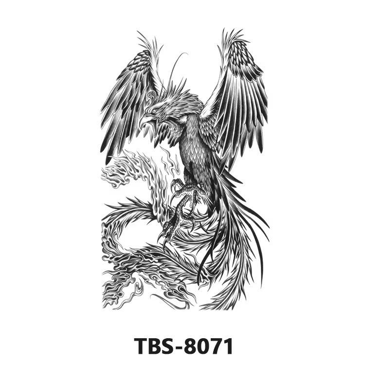 TBS-8071