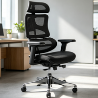 Chaise de bureau ergonomique en maille, en promotion, pour employés de bureau et étudiants, avec accoudoirs réglables, repose-pieds rétractable et roulettes silencieuses