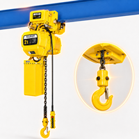 Palans électriques à chaîne stables de 2 tonnes, homologués CE et ISO, IP54, vitesse simple/double en option, avec commande par télécommande pour usine