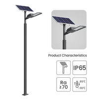 3 ans de garantie 30W aluminium extérieur IP65 couleur personnalisée longue durée de vie LED solaire jardin lumières pôle