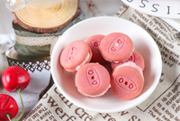 Vente en gros de biscuits macarons fourrés à la crème, en forme de sandwich miniature, halal, avec étiquette privée personnalisée
