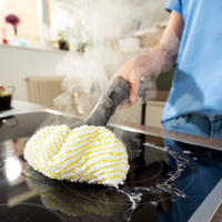 Nettoyeur vapeur domestique SC 2 Deluxe Karcher, machine de nettoyage légère sans produits chimiques pour la cuisine et la salle de bain, élimination des virus