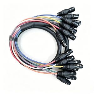 Câble multipaire équilibré OFC DB25 mâle vers 8 canaux XLR 3 broches femelle - Product Image 2