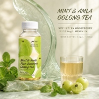 Fournisseur en gros de boissons Nihewan – Thé Oolong Quatre Saisons Menthe & Amla 240ml – Formule personnalisée OEM ODM – Thé Quatre Saisons