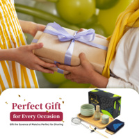 Ensemble de thé matcha en céramique de porcelaine japonaise en gros RTS, 10 pièces, boîte cadeau, écologique, durable, outils à matcha, ensemble de fouets en étain