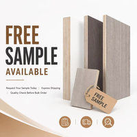Contreplaqué mélaminé à noyau d'eucalyptus 18 mm 4x8, qualité CARB P2 ENF, colle phénolique WBP, bords coupés nettois