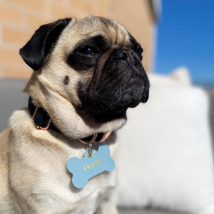 Etiqueta de Identificación Personalizada para Mascotas, de Metal, con Llavero, de Cuero PU Duradero y Ligero, para Perros y Gatos - Product Image 2