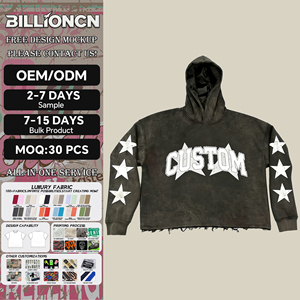 Hoodie Unisexe d'Été de Haute Qualité en Coton 100% Délavé à l'Acide, Coupe Boxy, avec Logo Brodé sur le Devant et Motif Imprimé, Col Rond - Product Image 1