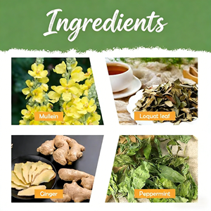 Thé de santé OEM à base de molène, de myrtille et de menthe, complément respiratoire à base de plantes, sachets de thé apaisants pour la gorge et la poitrine, boîte - Product Image 6