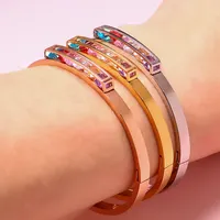 Nuovo Design gioielli regalo donna 4Mm larghezza acciaio inossidabile argento/oro/rosa pietre colorate braccialetto donna diamante