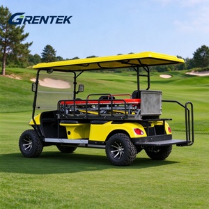 Carrito de Golf Eléctrico para Servicios Públicos con Batería de Litio de 48V para Hoteles y Hospitales, para Carreteras No Públicas - Product Image 4