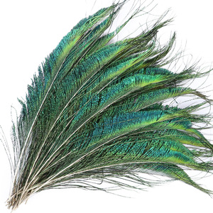 Lunghezza 30-35 cm <span class=keywords><strong>piume</strong></span> di <span class=keywords><strong>pavone</strong></span> naturale <span class=keywords><strong>piume</strong></span> verdi spada per l'organizzazione di fiori accessorio fai da te decorazione della casa articoli d'arte - Product Image 6
