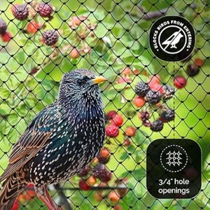 UV kháng chống-bird Poly Lưới với dịch vụ cắt cho Trái Cây Rau Vườn Nho bảo vệ chim <span class=keywords><strong>Net</strong></span> kích thước tùy chỉnh - Product Image 2
