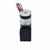 Pompa Tinta 3.3L 7W 24V Pompa Diafragma Mikro Motor Tanpa Sikat Pompa Tinta Udara untuk Mesin Cetak Inkjet DTF