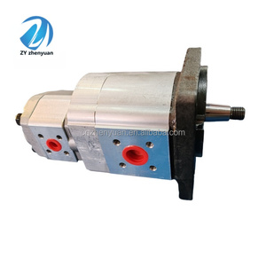 Pompe à engrenages hydraulique SNW SNW2 SNP2 SNP2NN SNP2NN/017RN03CAP3E6E5NNNN/NNNNN SNW2NN/017RN06SMNNE6E5NNNN/NNNNN - Product Image 2