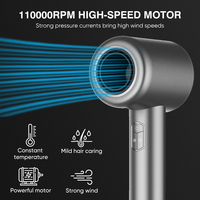 Sèche-cheveux ionique professionnel portable à moteur sans balais à ions négatifs haute vitesse 110 000 tr/min 1600W alimenté par véhicule, marque privée
