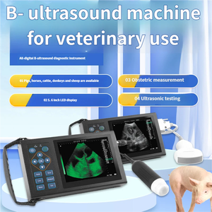 Alat USG Veteriner Portabel untuk Diagnosa Kehamilan dan Pemeriksaan Kesehatan Hewan Ternak Babi, Domba, Anjing, dan Proyek Kesehatan Hewan - Product Image 2