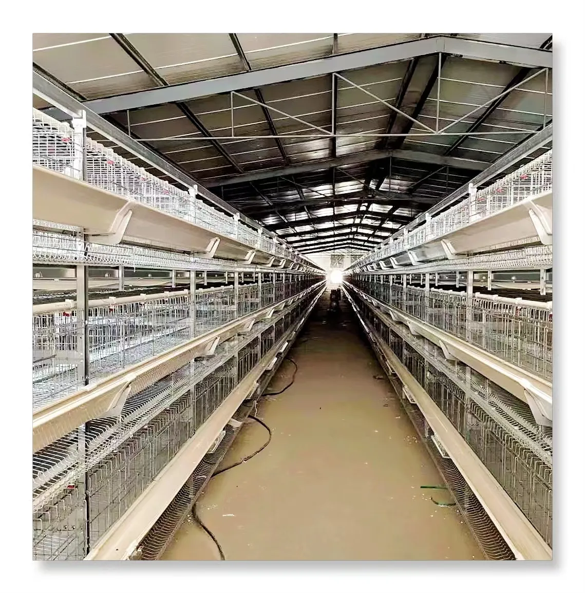 2024 vendita calda presa di fabbrica gabbie per animali di pollo per 5000 uccelli a strato di gabbia per pollame attrezzature agricole