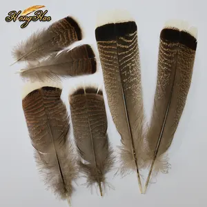 Wholesale Raw 25-30cm Natural Barred Turkey Feathers For DIY Crafts Handmade Wedding Costume Wreath Hat Decoration