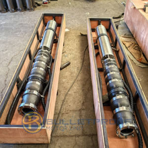 Pompe submersible à puits profond en acier inoxydable pare-balles, haute pression, 7,5-410 kW, débit de 9-2500 m³/h pour le relevage de l'eau de puits - Product Image 4