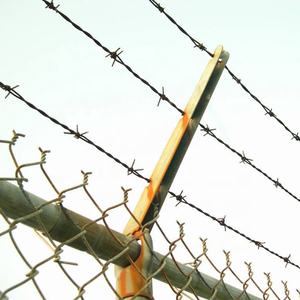 <span class=keywords><strong>Alambre</strong></span> de Púas de Alta Resistencia de 1.6mm a 3.0mm para Cercas Agrícolas, Malla de Púas para Ganadería - Product Image 2