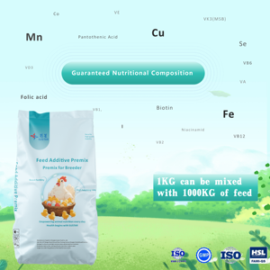 Additifs Alimentaires Spécialisés pour Poules Pondeuses : Améliore la Fertilisation, Augmente le Taux de Production d'Œufs, Prémélange pour l'Élevage de Poulets - Product Image 4