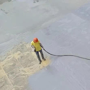 เคลือบสเปรย์โพลียูเรีย<span class=keywords><strong>บน</strong></span><span class=keywords><strong>หลังคา</strong></span>อุโมงค์เพื่อการใช้งานที่กันน้ำและไม่ลื่น - Product Image 4