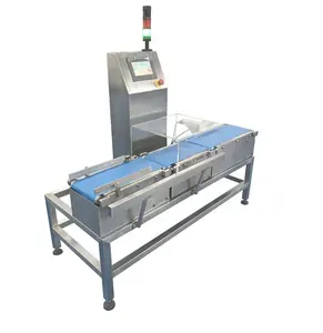 Industrial Food Bag Weighing Scale Check Weigher/Full Auto Weighing Machine