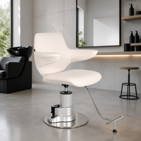 Fauteuil de Barbier Moderne en Acier Inoxydable avec Pédale de Levage, Facile à Nettoyer, Confortable, Durable, Siège de Luxe pour Salon de Beauté/Studi