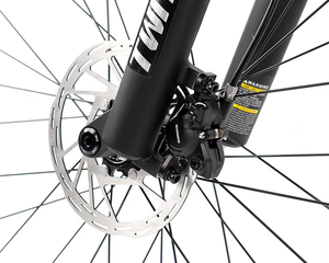 Bicicleta <span class=keywords><strong>de</strong></span> Montaña FLM M9-Elite Carbon XC Race 29er <span class=keywords><strong>de</strong></span> 12 Velocidades, Ligera, 11.3 kg, MAXXIS Hidráulica - Product Image 5