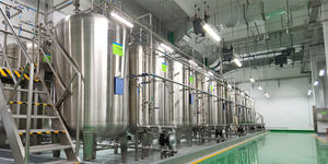 纯枣果提取物粉末 中国食品级 10:1 纯度枣果提取物 - Product Image 4