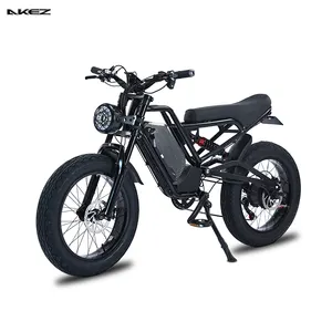 Moteur sans balais 1500W 48V Fat Snow Tire 20*4 E Bikes pour adultes Cadre en aluminium avec batterie au lithium 13Ah Type de montagne