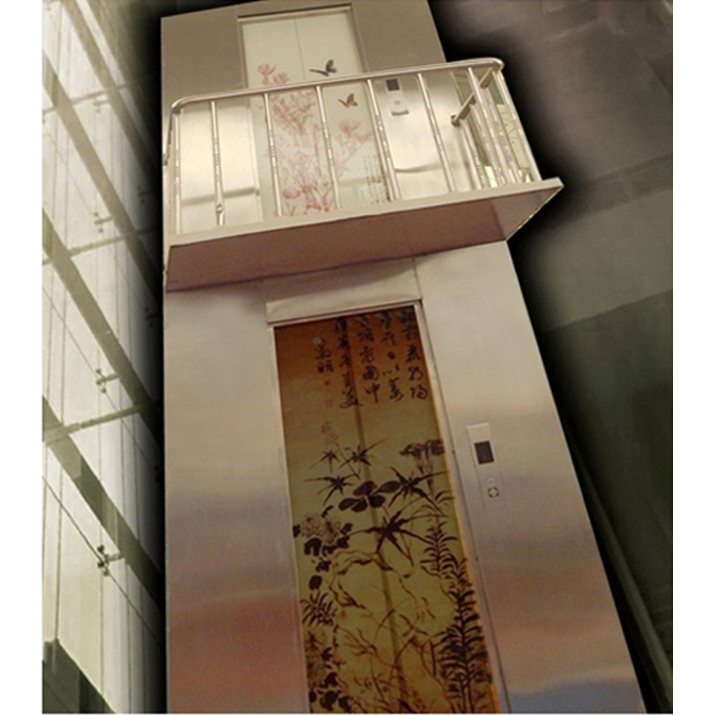 Luxurious low noise safe sanyo home elevator Villa Lift