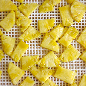 Premium Food Grade <b>Silicone</b> Dehydrator Sheets Non-Stick Mesh Mat Reusable Dishwasher Oven Safe Eco-Friendly Tray Liners for - Product Image 5