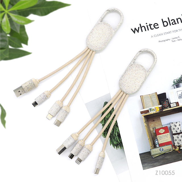 Wheat Straw Eco Friendly 4 in 1Multifunction USB Charge Cable TYPE-C Fast Charger Keychain