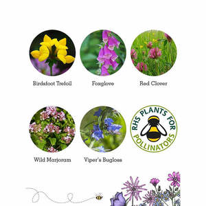 Sac à dos pour bombe à graines de fleurs sauvages naturelles Mélange d'abeilles moderne pour fleurs artificielles Terrariums pour la plantation de fruits à la maison - Product Image 3