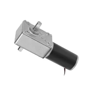 Alta Coppia 5840-31zy Lungo L'asse di Uscita A Vite Senza Fine Motoriduttore Ad alta potenza 12v 24v doppio albero dc a vite senza fine gear motor