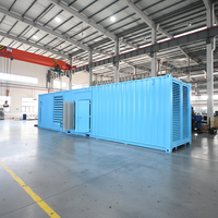 Groupe électrogène conteneurisé au gaz 1000 kW 1200 kW 1500 kW Weichai, démarrage électrique, ATS, alimentation GPL, système CHP haute performance