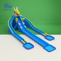 Toboggan aquatique géant gonflable en PVC en forme de tête de dragon pour adultes, certifié CE, couleur personnalisable, pour écoles et extérieur