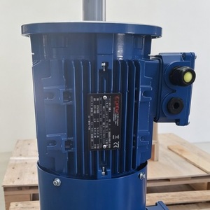 Moteur horizontal antidéflagrant Elvem 6T390L4, classe d'isolation F, indice IP55, joint d'étanchéité de grande taille - Product Image 2